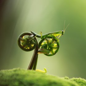 érzelmekkel minden lehetséges, még fogyni is