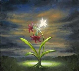 fogyás, érzelem, siker